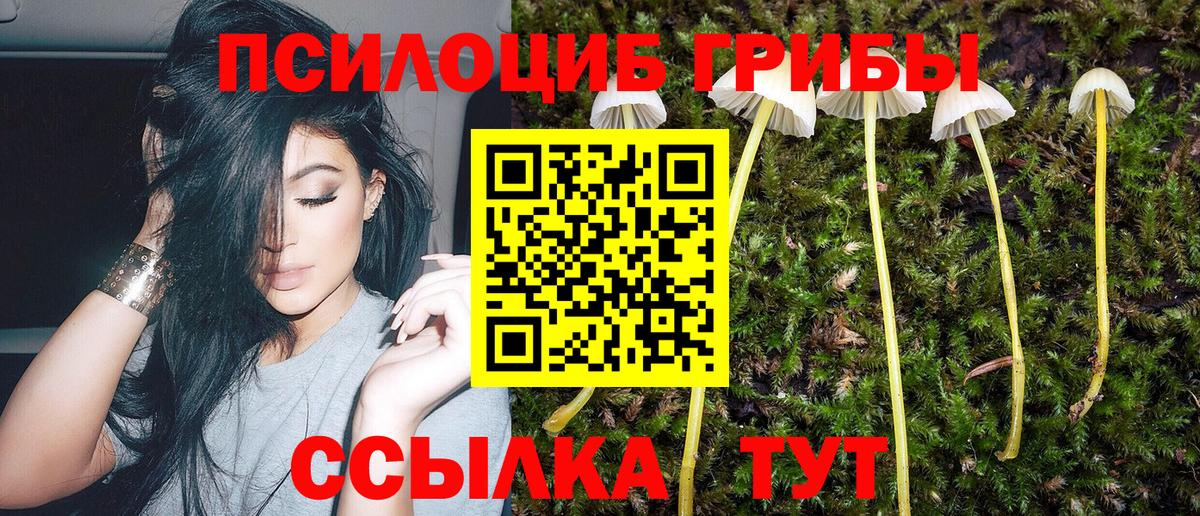 Галлюциногенные грибы Psilocybine cubensis Кушва