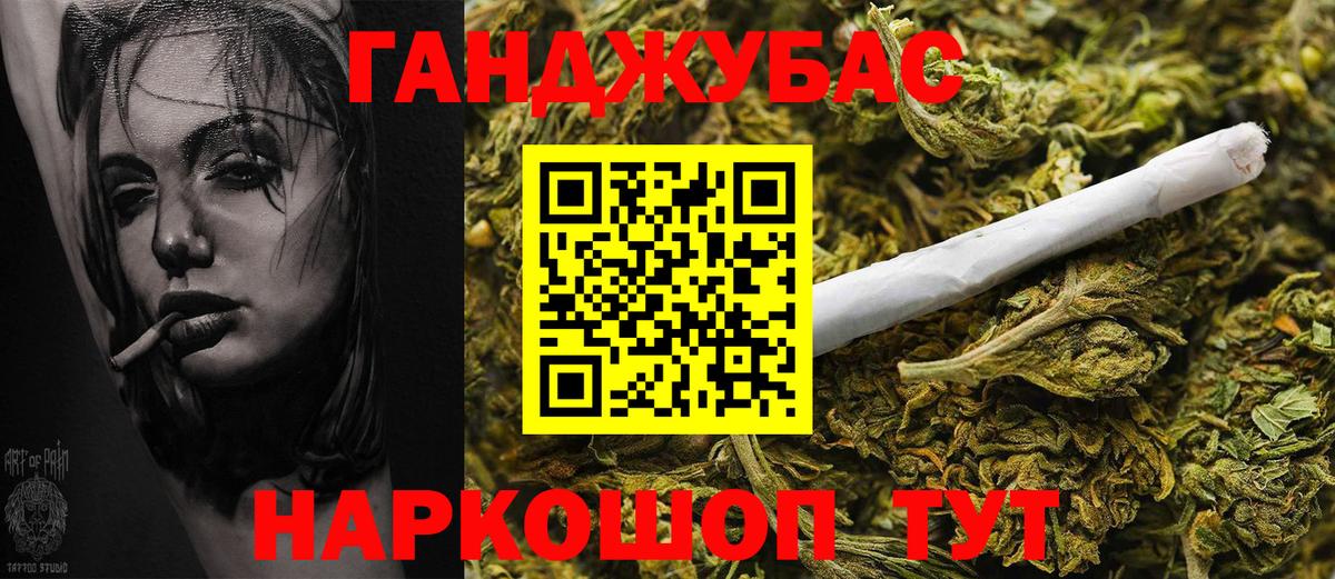 Канабис сатива Кушва